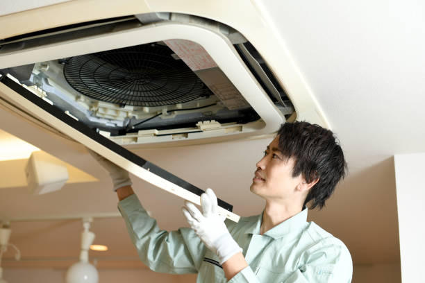 Best Professional Duct Cleaning Services  in St Michaels, MD